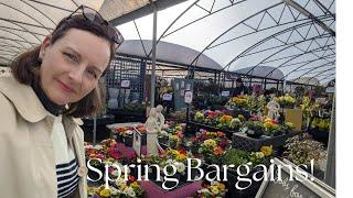 SPRING BARGAINS!  PRE-LOVED COATS & JACKETS | AT HOME/GARDEN CENTRE BUYING PRIMULAS AND PRIMROSES