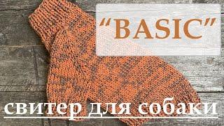 Свитер "BASIC" для собаки