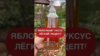 Яблочный уксус, самый простой рецепт!