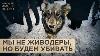 Госдума меняет закон об обращении с бездомными животными