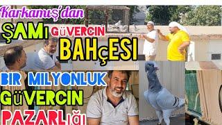 Bir milyonluk güvercin pazarlığı karkamış'dan Faruk Yılmaz Şamı Bahçesi#aksoyfiloelvanguvercinleri