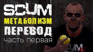 SCUM. МЕТАБОЛИЗМ. ПЕРЕВОД (часть первая)