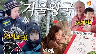 스웨덴 vlog. 늑대주의 리얼 겨울왕국 별장에서 대가족 여행️️