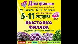 ВЫСТАВКА ФИАЛОК 05-11 октября,Самарский Дом Фиалки.