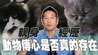 【親身經歷】動物傳心是否真的存在？｜乜乜棠水舖