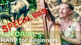 Tutorial 5 Harp for beginners 1 - easy and relaxed without sheet music, without previous knowledge!