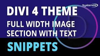 Divi Theme Full Width Image Section With Text Overlay 