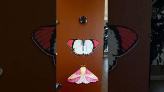 I’m so glad you suggested this!! #homedecor #walldecor #homerenovation #butterflies #moths