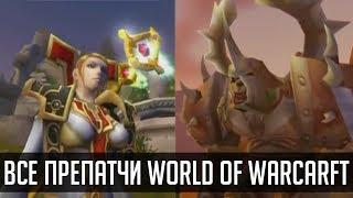 КАКИМИ БЫЛИ ПРЕПАТЧИ В ИСТОРИИ WORLD OF WARCRAFT | Зул