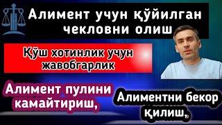 Алимент пулини камайтириш,   Алиментни бекор қилиш,  Алимент учун қўйилган чекловни олиб ташлаш,