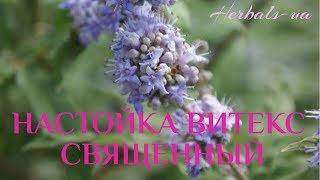 Настойка витекс священный | Палочка-выручалочка для женщин