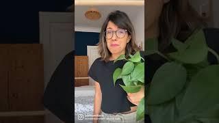 DO THIS when buying plants 