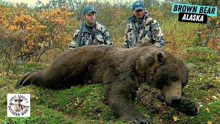 Challenging Hunt for Giant Brown Bear in Remote Alaska