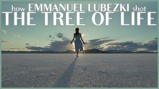 How Emmanuel Lubezki shot The Tree of Life