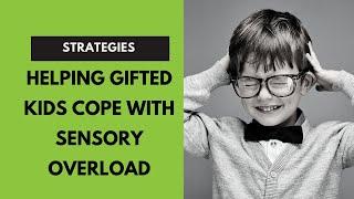 Dabrowski's Sensual Overexcitabilities: How to Help Your Gifted Child Cope with Sensory Overload