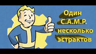 Самое выгодное место для C.A.M.P. в Fallout 76