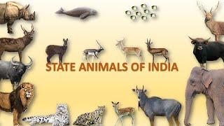 State Animals of India  | Animals | Indian Animals