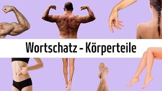 Learn German - Vocabulary: Body Parts