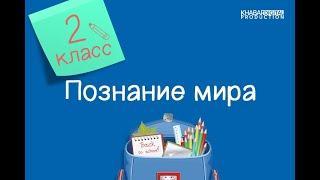 Познание мира. 2 класс. Как ориентироваться на местности /08.04.2021/