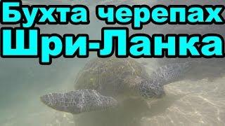 Пляж Виджая бич, бухта черепах. Пляжи Далавелла и Унаватуна. Шри Ланка