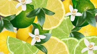 Lemon and Lime (31 шт) Transition ProShow Producer (Example / Sample) / Citrus #1