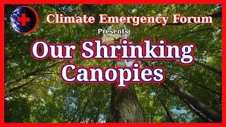 Our Shrinking Canopies