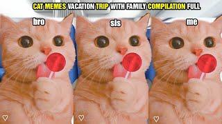 CAT MEMES VACATION TRIP WITH FAMILY COMPILATION FULL