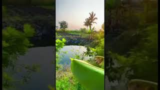 village tour & house | मेरा गाँव, मेरा घर | माझे गाव #village #india #incredibleindia #trending