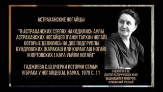 Амир Мусаев и Беклербек Ногай - татаристам, почему ногаи смогли стать народом, а татары нет? Ответ