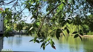 Relaxing Boardwalk Views in Charlotte North Carolina | RWSM