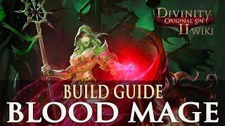 Divinity Original Sin 2 Builds - Blood Mage (Necromancer)