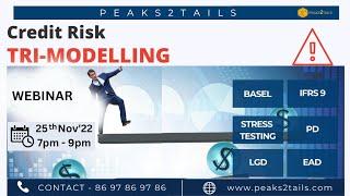 CREDIT RISK MODELLING - Scorecards | IFRS 9 | Basel | Stress Testing | Model Validation