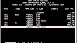 it1100 partition example after cfdisk