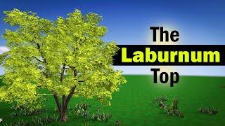 The Laburnum Top Class 11 Poem Animation in English