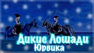 Star Stable Online/Покупка лошади (Дикая Лошадь Юрвика)