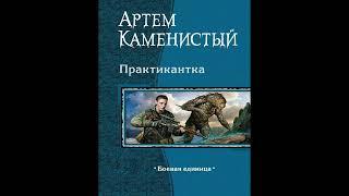 Артем Каменистый. Аудиокнига: Практикантка. Боевая единица. Книга вторая.