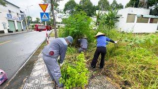 市中心近くの雑草が生い茂った歩道を掃除する | Clean up Lawn