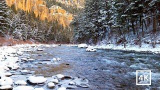 4K Snowy River Rapids | Winter Nature Scene | Nature Sounds for Sleep & Study | White Noise