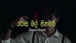 Rosa Mal Hinawe (Slowed+Reverb)| රෝස මල් හිනාවේ. |Saman Indika Song