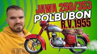 Jawa 250/353 Kyvačka - Polbubon - r.v. 1955 - UKÁŽKA, JAZDA + BONUS s @rudolftisovsky