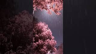 the aesthetics of rain