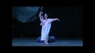 Roberto Bolle & Svetlana Zakharova. La Bayadere. I Acto..wmv