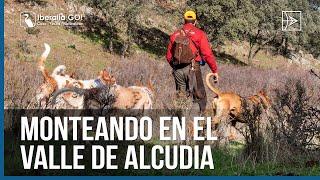 Monteando en el Valle de Alcudia | Documental Iberalia GO!