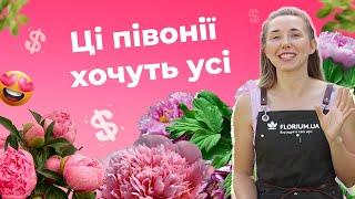 10 рідкісних найдорожчих півоній | Florium.ua