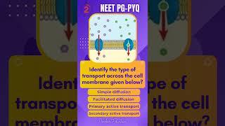 NEET PG PYQs - Physiology|High Yield MCQs |Image Based |INICET | MRB | #neetpg #fmge #inicet #mrb