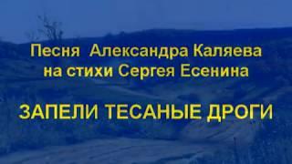 Песня  ЗАПЕЛИ ТЕСАНЫЕ ДРОГИ