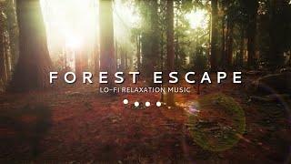  LoFi Relaxation Music for Travel | Forest Escape (30mins)