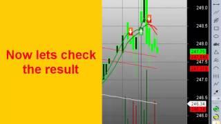 LiveTradeSystem: Live market video demonstration