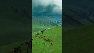 Heart of Central Asia Kazakhstan #kazakhstan #nature #relaxing