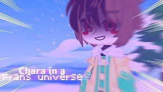 •| Chara in a Frans universe .°•:meme:•°. // {Chans and Frans} \\ |•